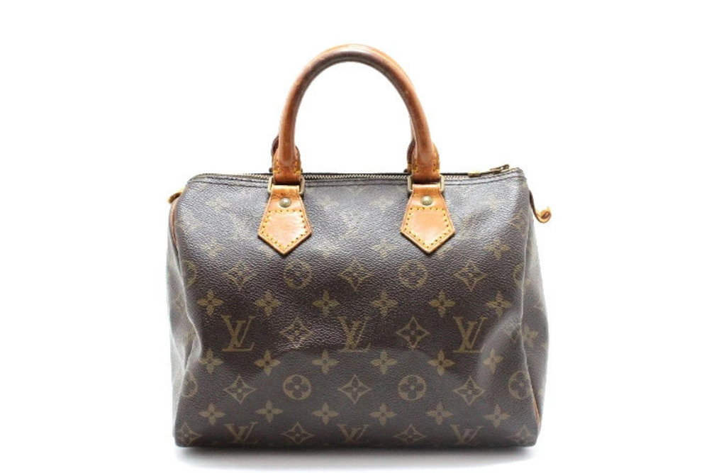 LOUIS VUITTON Speedy Boston Bag Monogram